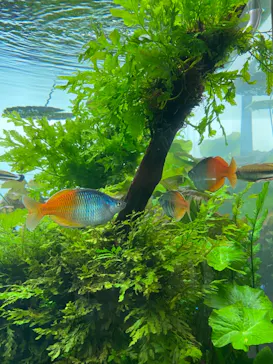 すみだ水族館に投稿された画像（2021/9/4）