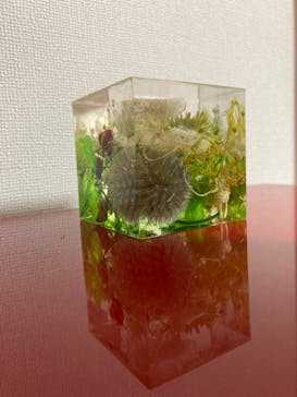 ずこうしつ〜sugamo〜に投稿された画像（2021/9/4）