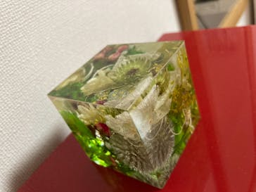 ずこうしつ〜sugamo〜に投稿された画像（2021/9/4）