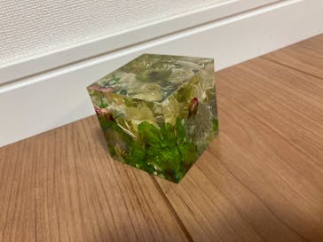 ずこうしつ〜sugamo〜に投稿された画像（2021/9/4）