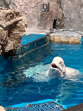 名古屋港水族館に投稿された画像（2021/9/4）