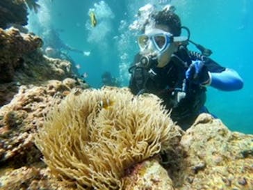 DIVING-SHOP SUNSに投稿された画像（2021/9/4）