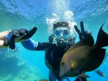 DIVING-SHOP SUNSに投稿された画像（2021/9/4）