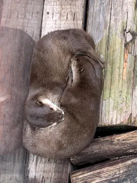 横浜・八景島シーパラダイスに投稿された画像（2021/9/5）