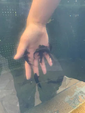 横浜・八景島シーパラダイスに投稿された画像（2021/9/5）