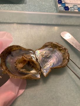 しながわ水族館に投稿された画像（2021/9/5）