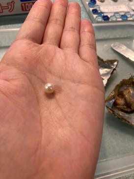 しながわ水族館に投稿された画像（2021/9/5）