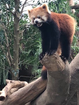 神戸どうぶつ王国に投稿された画像（2021/9/5）