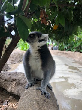 神戸どうぶつ王国に投稿された画像（2021/9/5）