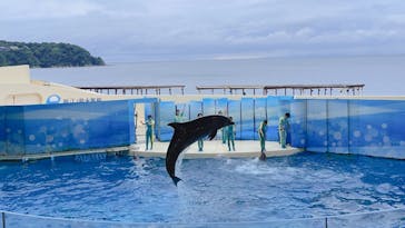 新江ノ島水族館に投稿された画像（2021/9/5）