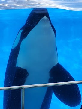 名古屋港水族館に投稿された画像（2021/9/5）