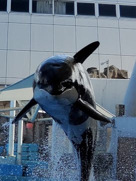 名古屋港水族館に投稿された画像（2021/9/5）