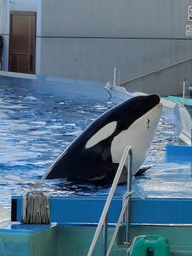 名古屋港水族館に投稿された画像（2021/9/5）