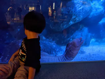 すみだ水族館に投稿された画像（2021/9/5）