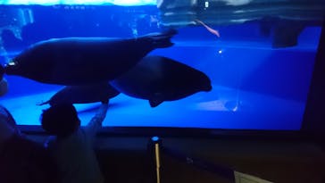 サンシャイン水族館に投稿された画像（2021/9/5）