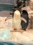名古屋港水族館に投稿された画像（2021/9/5）