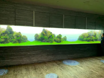 すみだ水族館に投稿された画像（2021/9/5）