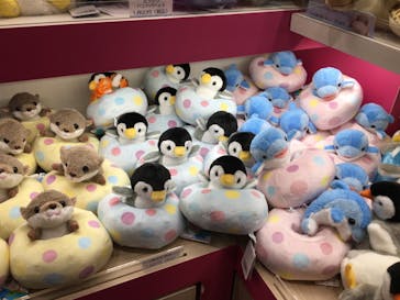 マクセル アクアパーク品川に投稿された画像（2021/9/5）