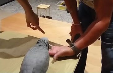 Moff animal world MARK IS みなとみらい店に投稿された画像（2021/9/5）