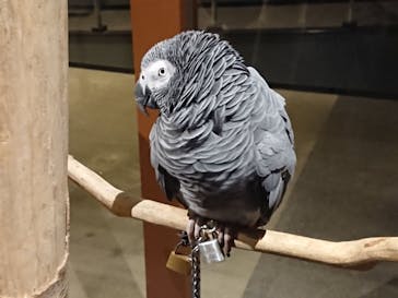 Moff animal world MARK IS みなとみらい店に投稿された画像（2021/9/5）