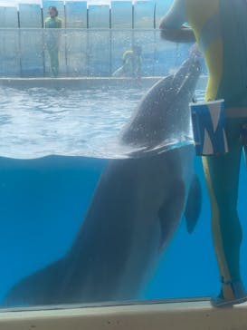 新江ノ島水族館に投稿された画像（2021/9/5）