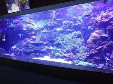 大分マリーンパレス水族館 「うみたまご」に投稿された画像（2021/9/5）