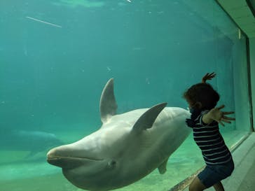 南知多ビーチランド＆南知多おもちゃ王国に投稿された画像（2021/9/5）