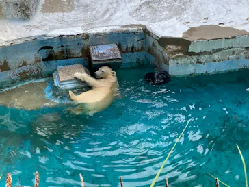 天王寺動物園に投稿された画像（2021/9/5）