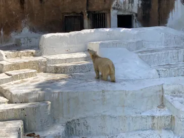 天王寺動物園に投稿された画像（2021/9/5）