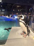 すみだ水族館に投稿された画像（2021/9/5）