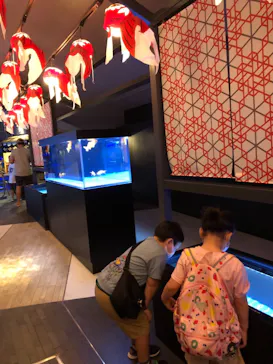 すみだ水族館に投稿された画像（2021/9/5）