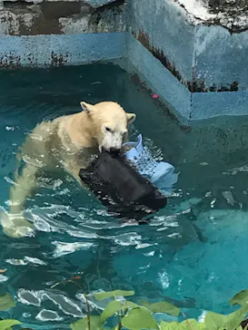天王寺動物園に投稿された画像（2021/9/5）