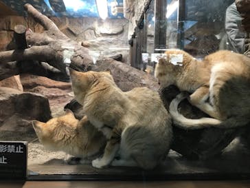 那須どうぶつ王国に投稿された画像（2021/9/5）