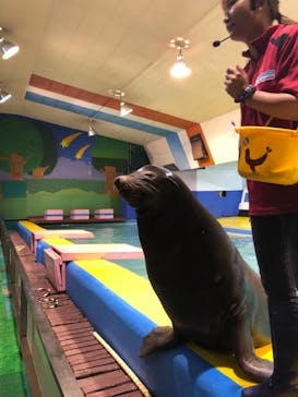 ゼロ距離水族館 伊勢シーパラダイスに投稿された画像（2021/9/5）