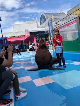 ゼロ距離水族館 伊勢シーパラダイスに投稿された画像（2021/9/5）