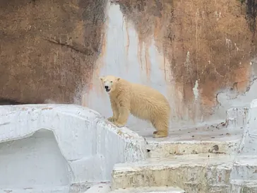 天王寺動物園に投稿された画像（2021/9/5）
