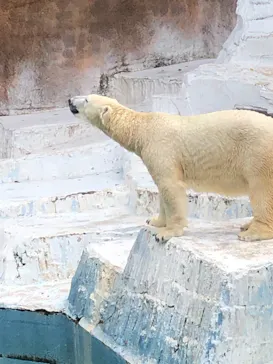天王寺動物園に投稿された画像（2021/9/5）