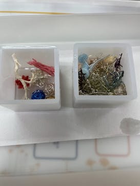 ずこうしつ〜sugamo〜に投稿された画像（2021/9/5）