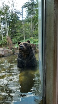 サホロリゾート　ベア･マウンテンに投稿された画像（2021/9/5）