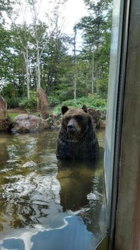 サホロリゾート　ベア･マウンテンに投稿された画像（2021/9/5）