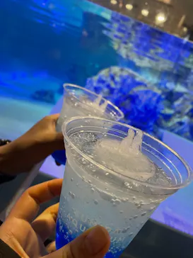 すみだ水族館に投稿された画像（2021/9/5）