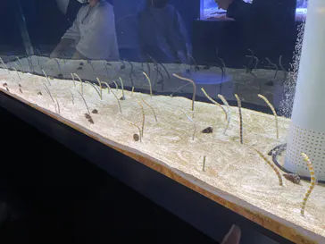 すみだ水族館に投稿された画像（2021/9/5）