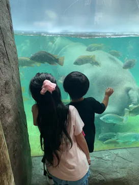 天王寺動物園に投稿された画像（2021/9/5）