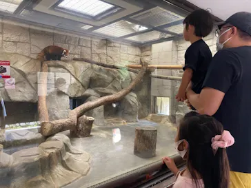 天王寺動物園に投稿された画像（2021/9/5）