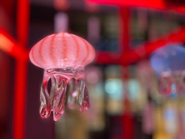 京都水族館に投稿された画像（2021/9/5）