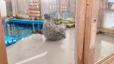 名古屋港水族館に投稿された画像（2021/9/5）