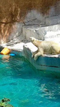天王寺動物園に投稿された画像（2021/9/5）