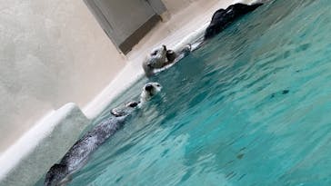 鳥羽水族館に投稿された画像（2021/9/5）