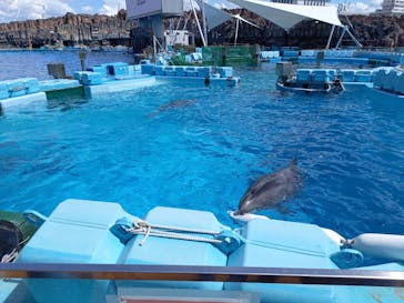 名古屋港水族館に投稿された画像（2021/9/5）