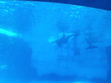 名古屋港水族館に投稿された画像（2021/9/5）